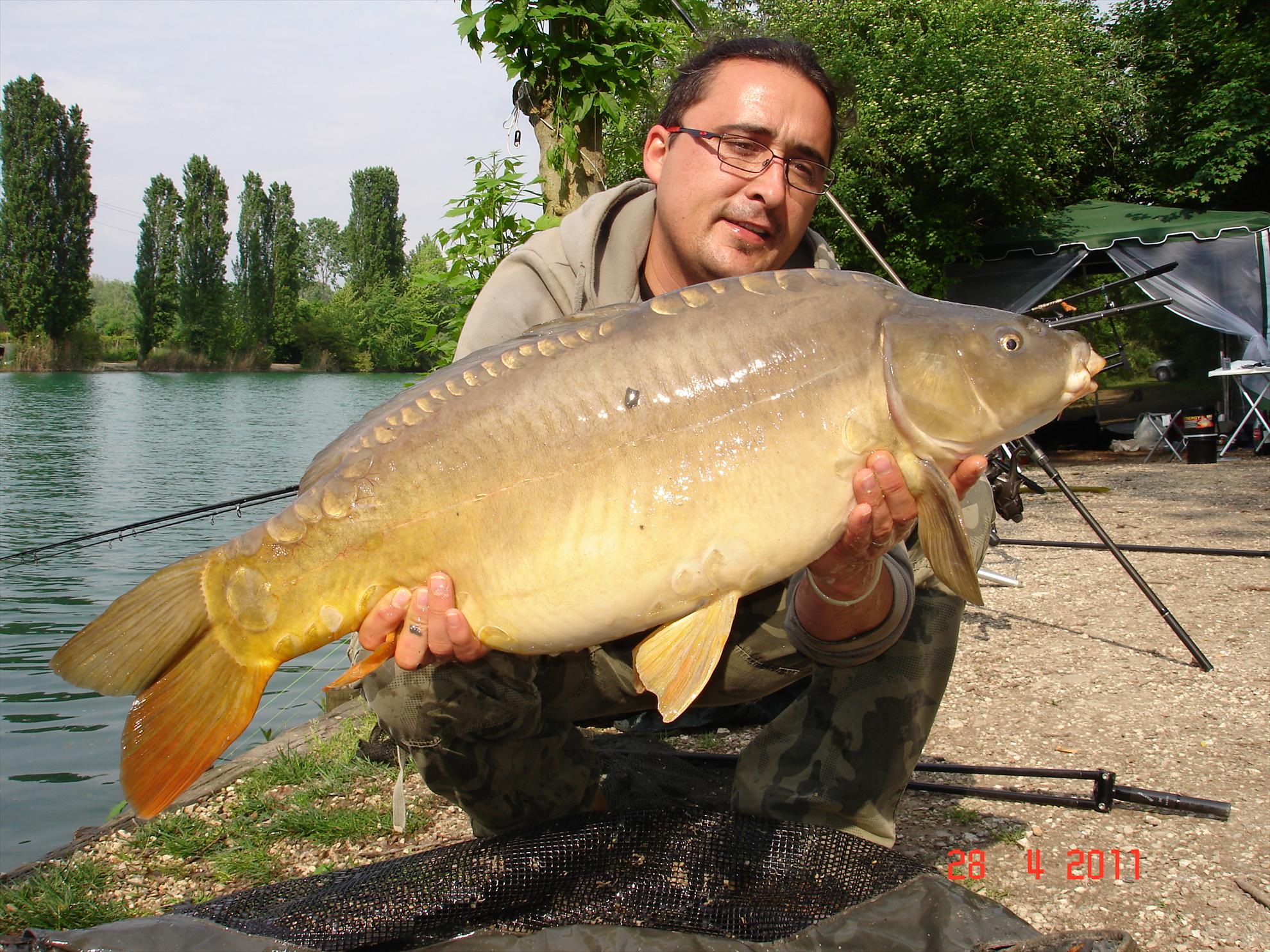 THE BIGS OF 2011 - p1000091.JPG